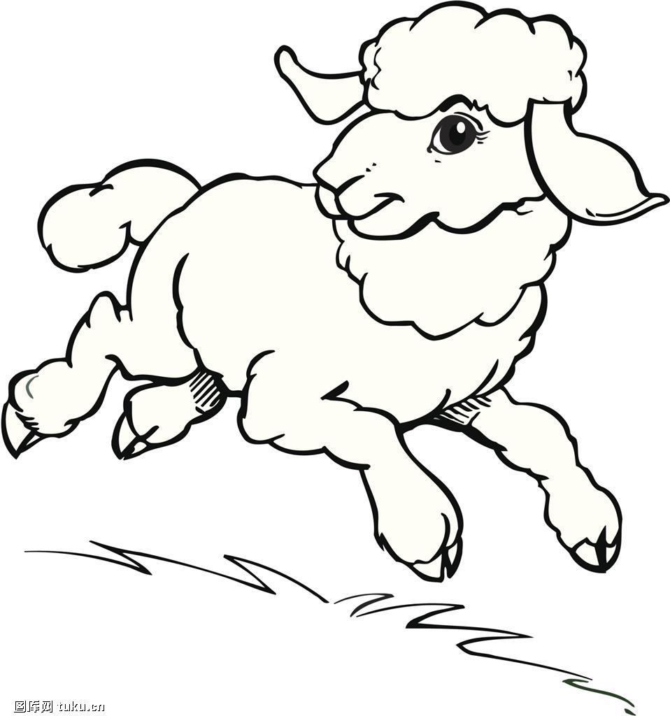 山羊图片