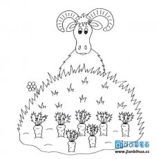 山羊图片
