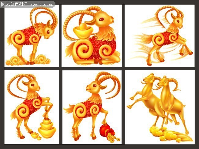 贝林登梗犬图片披着羊皮的狗狗贝林登梗犬图集图片