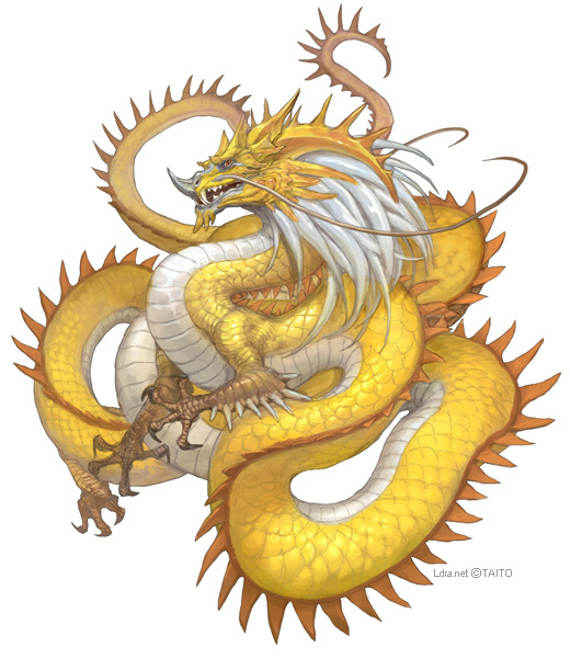 十二生肖龙唯美剪纸图片（一）图片