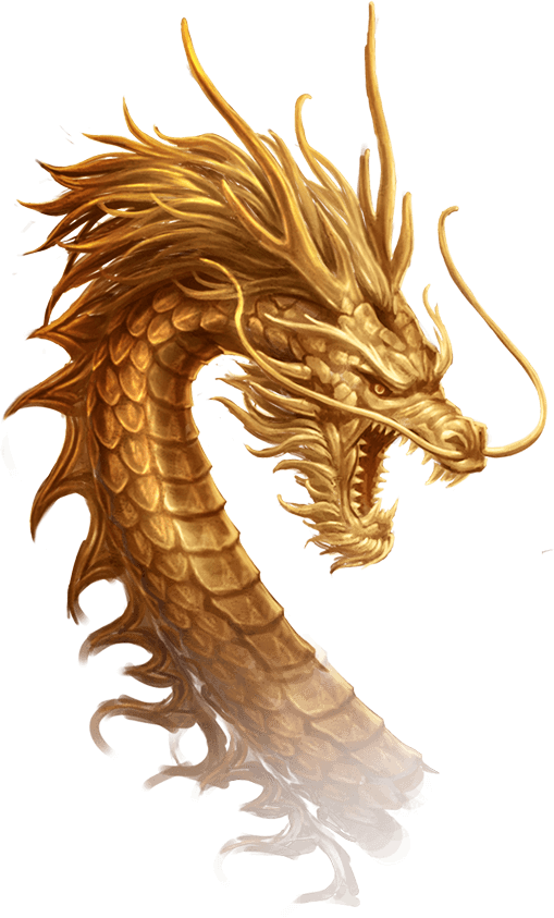 高清十二生肖猪图片精美彩绘插画小猪封面图片图片