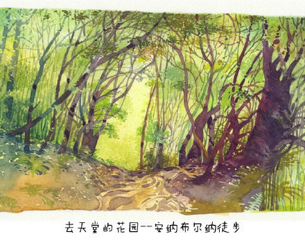 国际旅游小姐性感旗袍秀图片