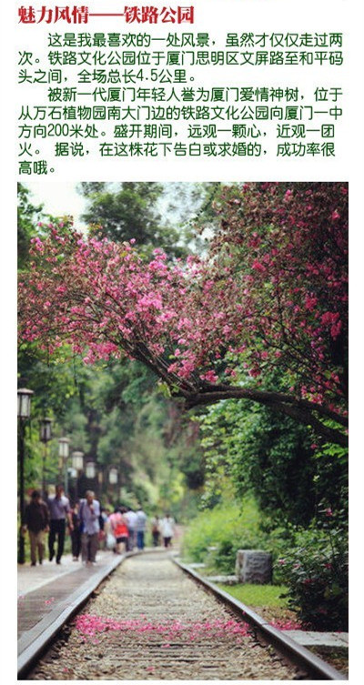 国际旅游小姐性感旗袍秀图片