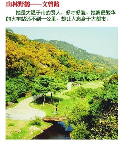 国际旅游小姐性感旗袍秀图片