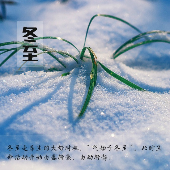 陈妍希晒新神雕侠侣片场照 雪景显唯美图片