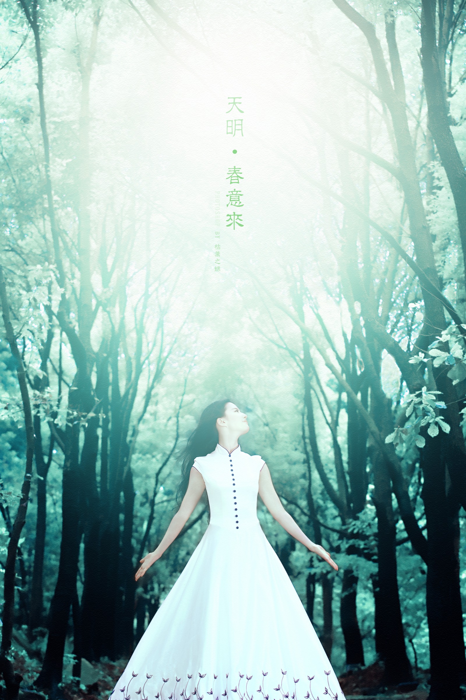 刘亦菲高清创意海报图片第一辑图片