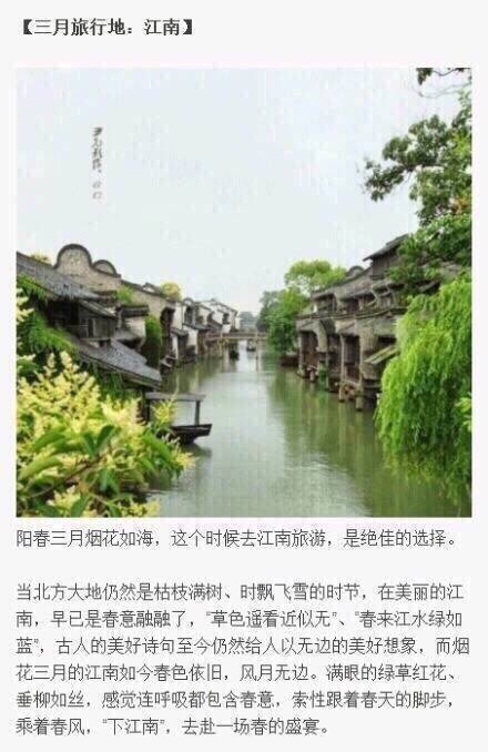 上海迪士尼万圣节可爱卡通人物图片图片