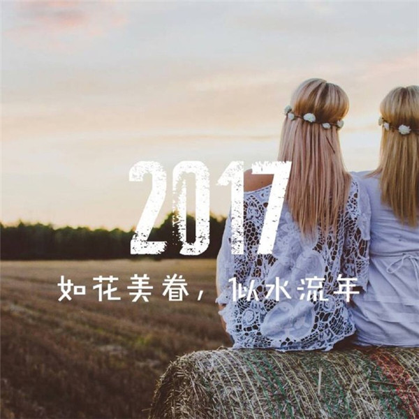 2017年鸡年励志文字素材图片图片
