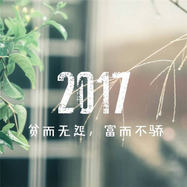 2017年鸡年励志文字素材图片图片