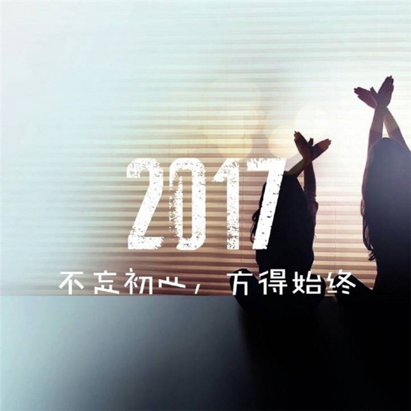 2017年鸡年励志文字素材图片图片
