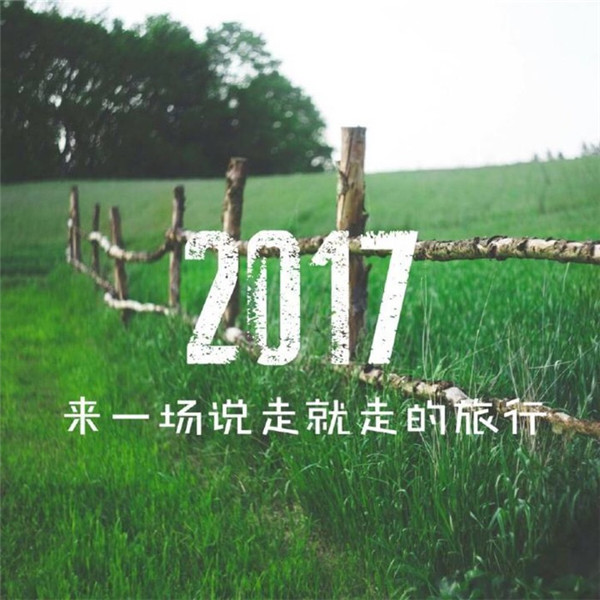 2017年鸡年励志文字素材图片图片