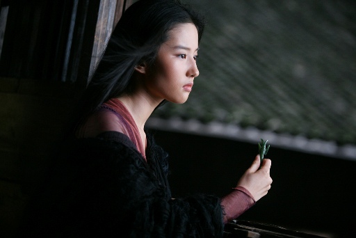 刘亦菲《功夫之王》电影精美剧照图片图片