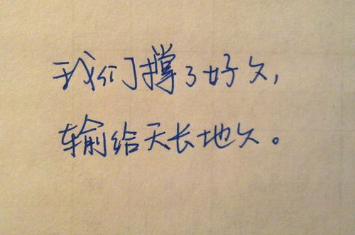 唯美暖心的文字语录图片图片