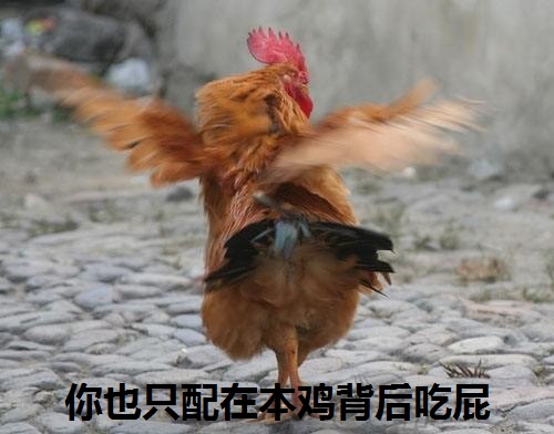 2017年鸡年数字素材图片  第二辑图片