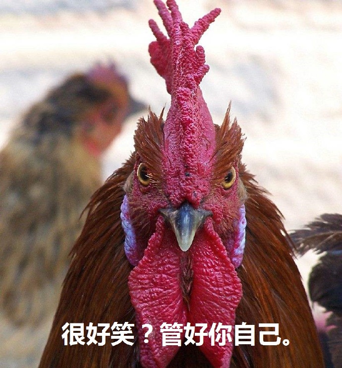 2017年鸡年数字素材图片  第二辑图片