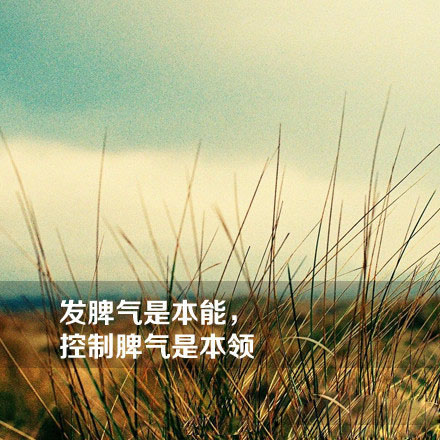 旋风少女若白师兄杨洋励志台词唯美海报福利大放送图片