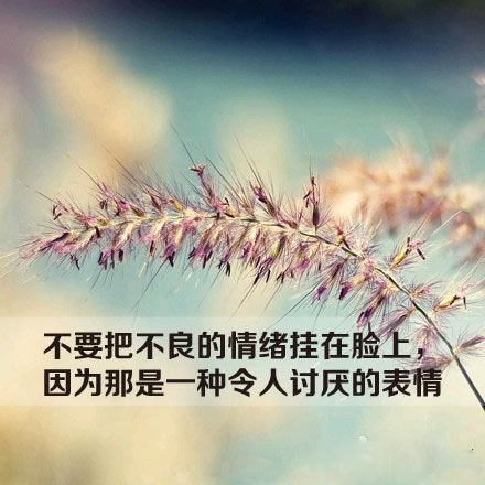 减肥励志锁屏壁纸原图第二波图片