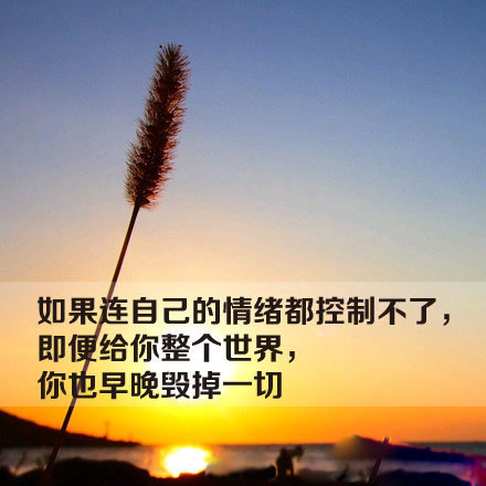 芙蓉姐姐紧身裙亮相瘦至85斤堪称“励志姐”图片