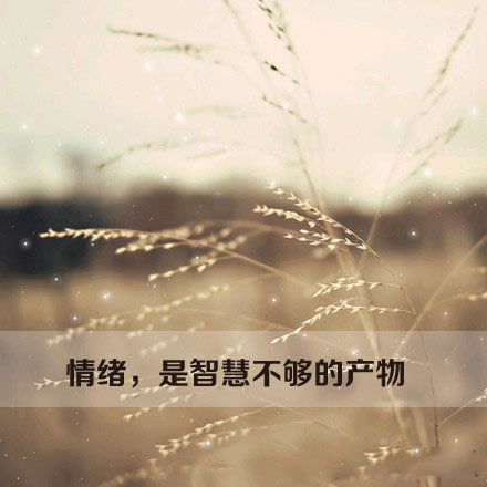 芙蓉姐姐紧身裙亮相瘦至85斤堪称“励志姐”图片
