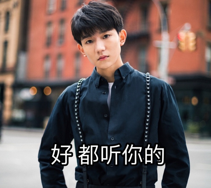 可爱猫咪带字表情包图片图片