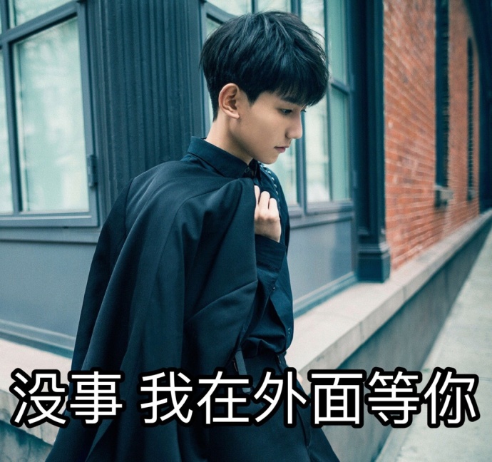 可爱猫咪带字表情包图片图片
