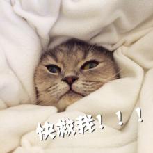 幽默搞笑喵星人文字微信表情包图片图片