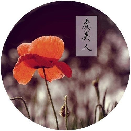 红千层花图片  红千层图片  红千层植物图片图片