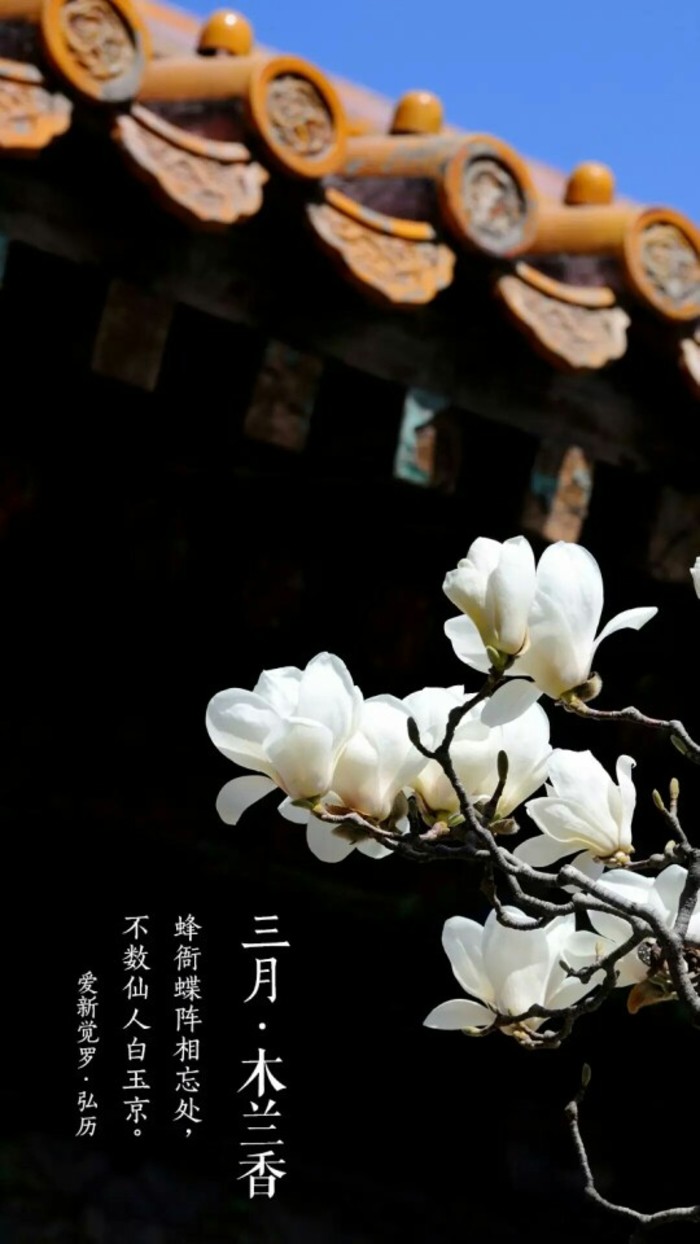 植物图片图片