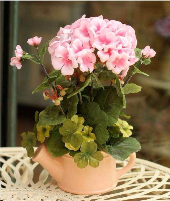 白芨花图片 白芨图片 白芨植物图片图片