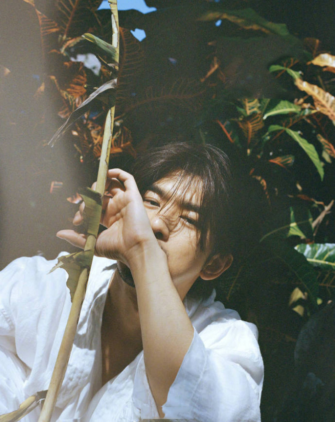 中国台湾男演员《花儿与少年3》陈柏霖图片图片