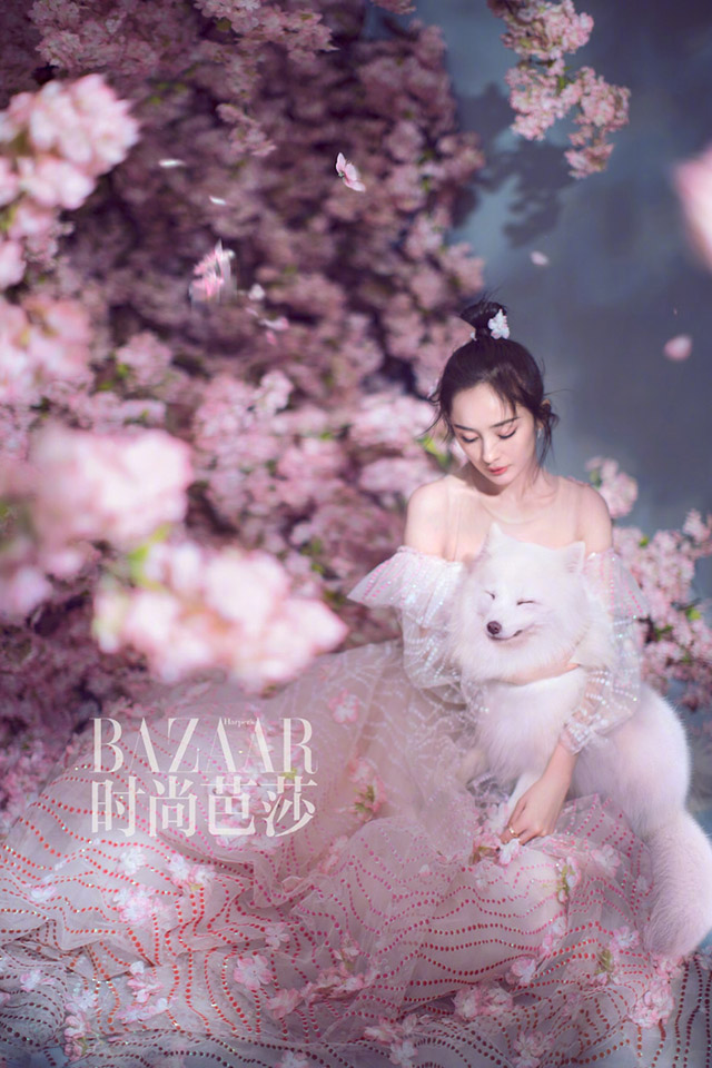 人气小花旦杨幂夏日复古风甜美写真桌面壁纸(二)图片
