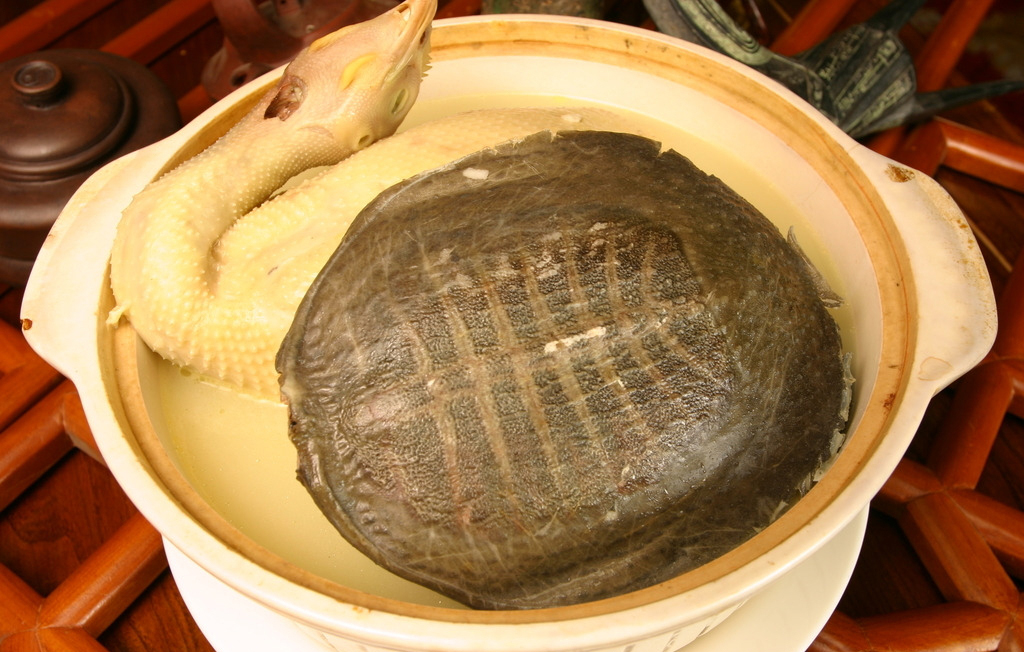 霸王别姬图片  徐海菜图片  苏菜图片图片