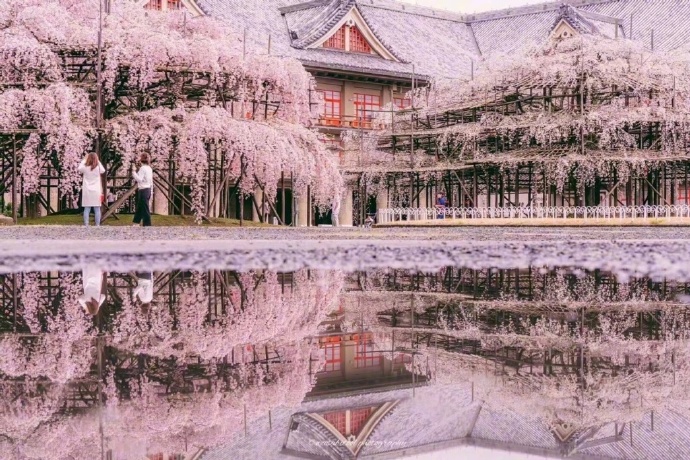 旅游壁纸图片