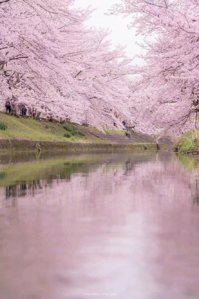 美丽的花园,蓝圃图片