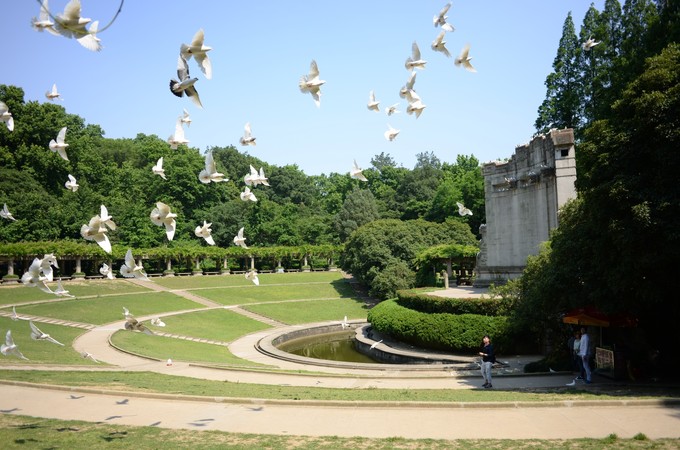 南京音乐台风景图片  南京风景图片图片