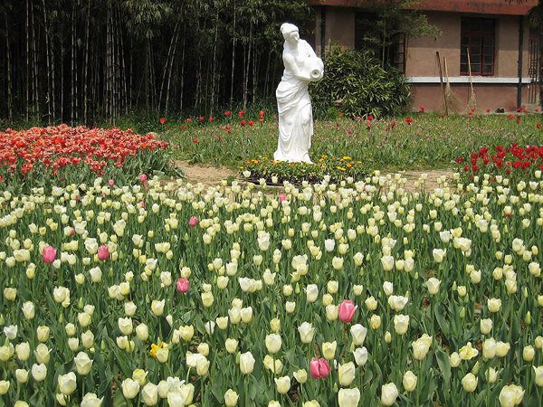 24节气霜降雪山风景桌面壁纸图片