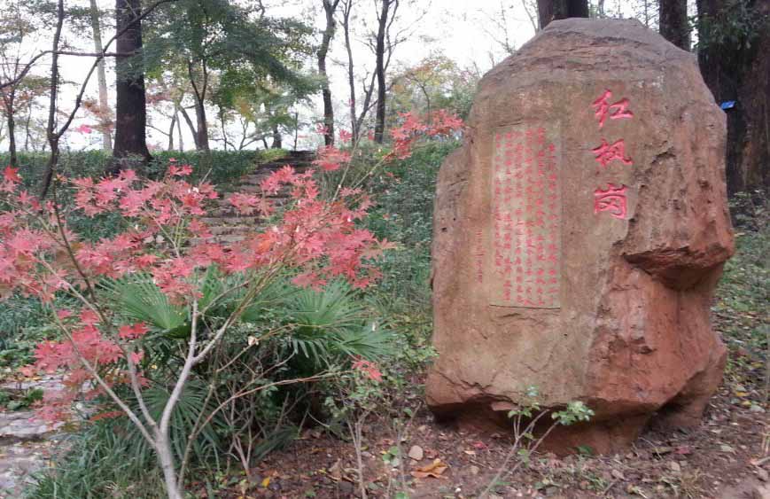 24节气霜降雪山风景桌面壁纸图片
