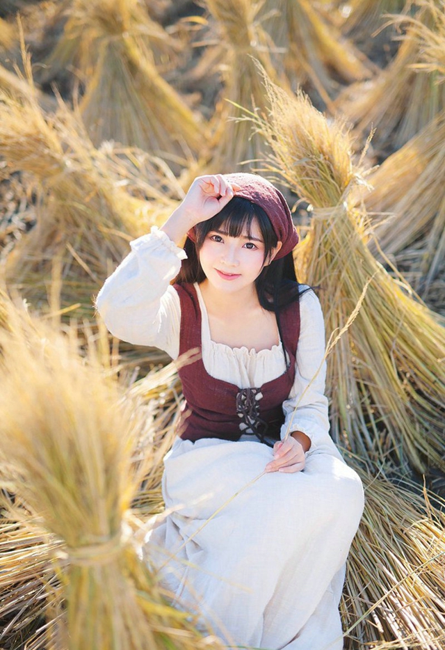 麦田图片