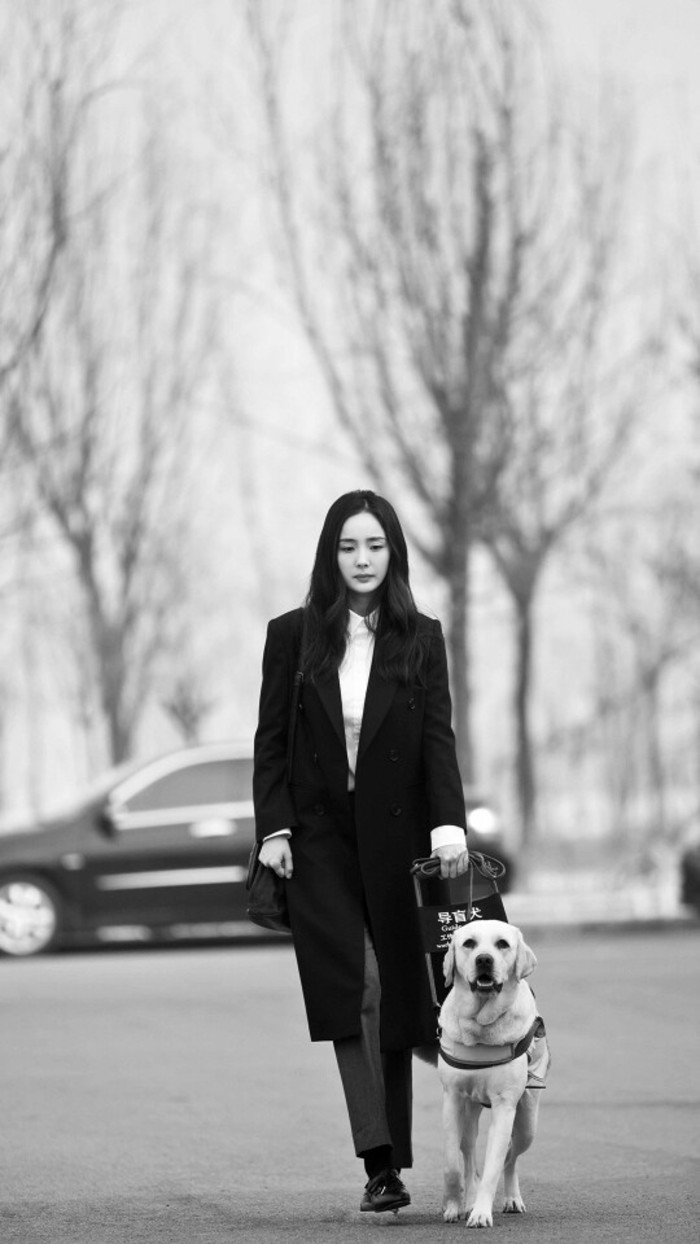 时尚性感女星杨幂迷人写真图片笑容太迷人图片