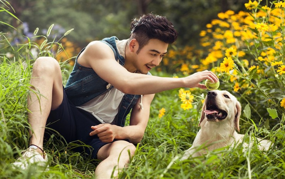 杨烁图片  杨烁商务时尚型男写真图片图片
