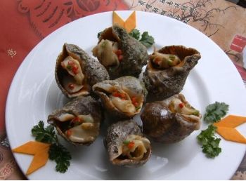 油爆海螺片图片  鲁菜图片图片