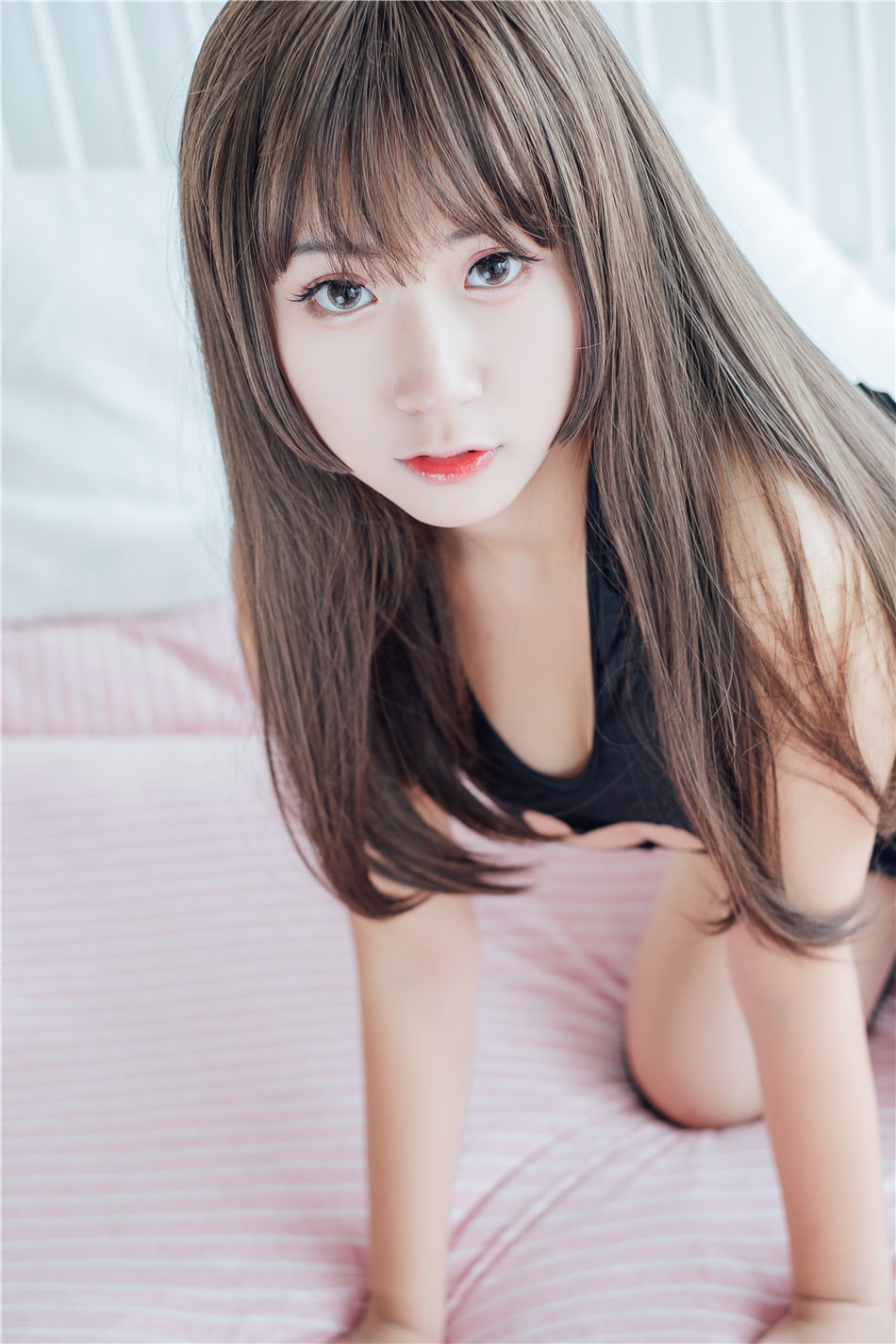猫九酱Sakura图片
