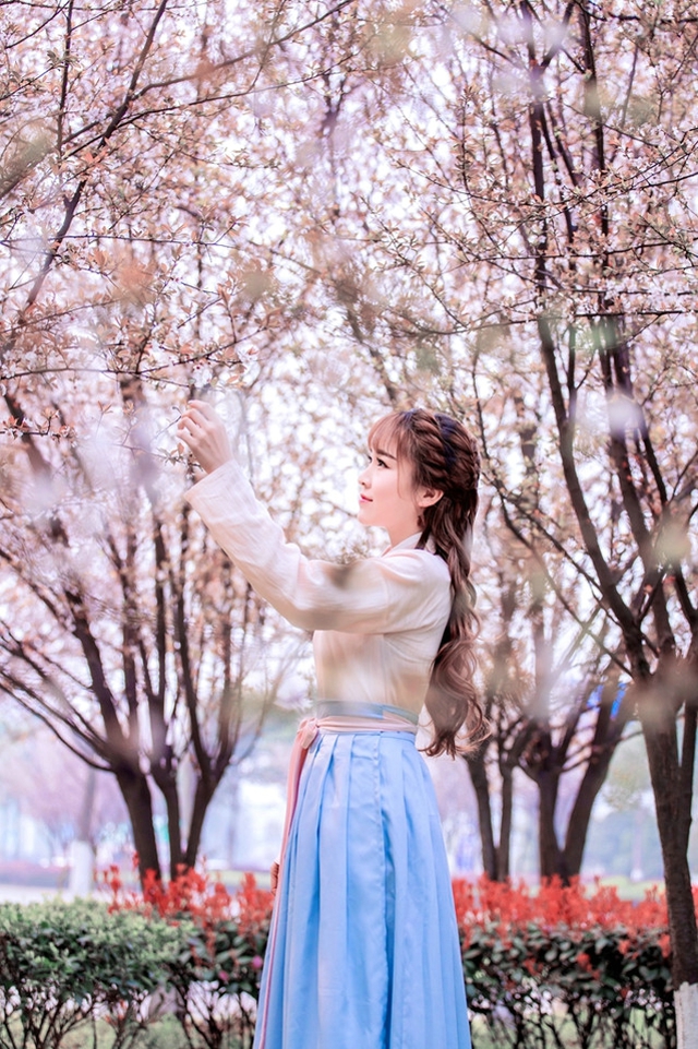 花树下的汉服美女清纯靓丽如花似玉写真图片图片