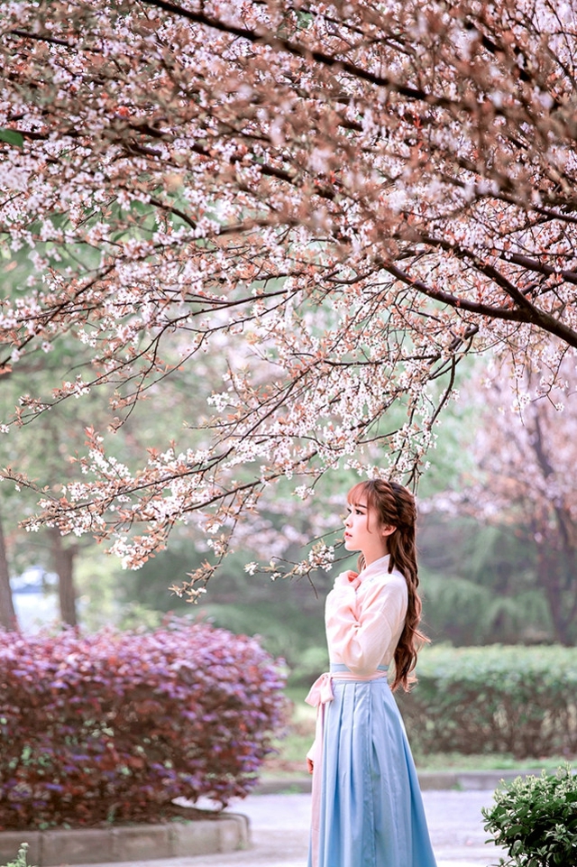 花树下的汉服美女清纯靓丽如花似玉写真图片图片