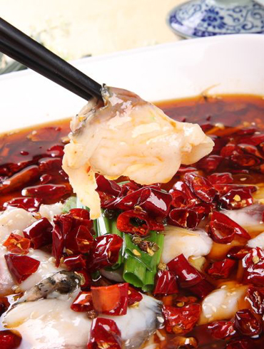 糖酱鸭块图片  鲁菜图片图片
