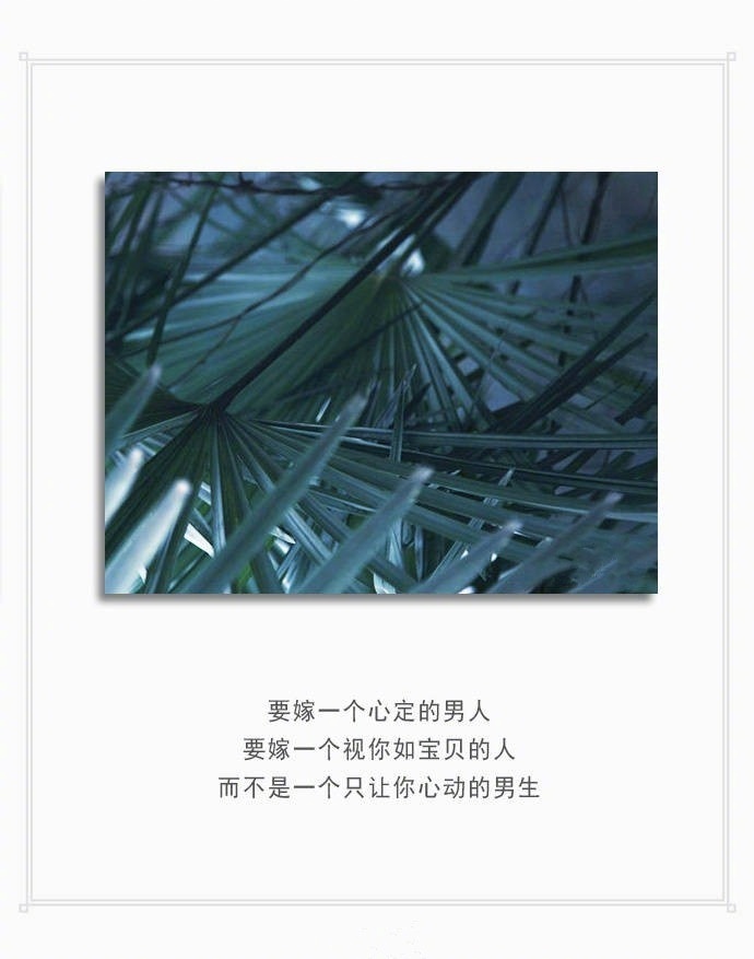 文字图片