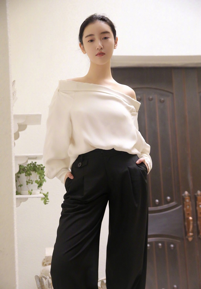 张辛苑图片