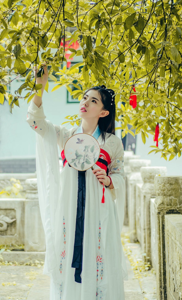 花树下的汉服美女清纯靓丽如花似玉写真图片图片