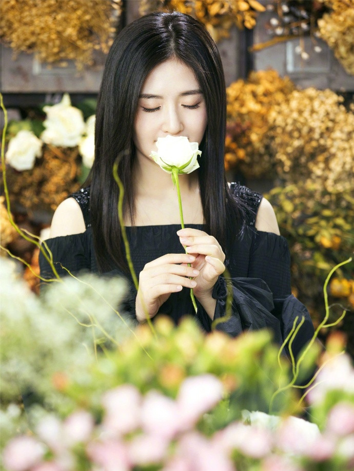谢娜花海写真图片：温婉优雅图片