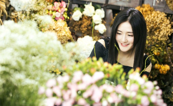谢娜花海写真图片：温婉优雅图片